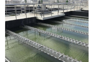 【干貨】有機物導致的氨氮超標?這種情況該如何處理呢？